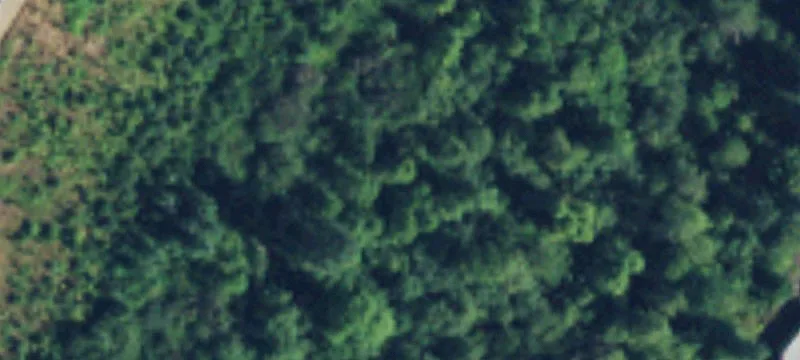 Kent, WA 98042