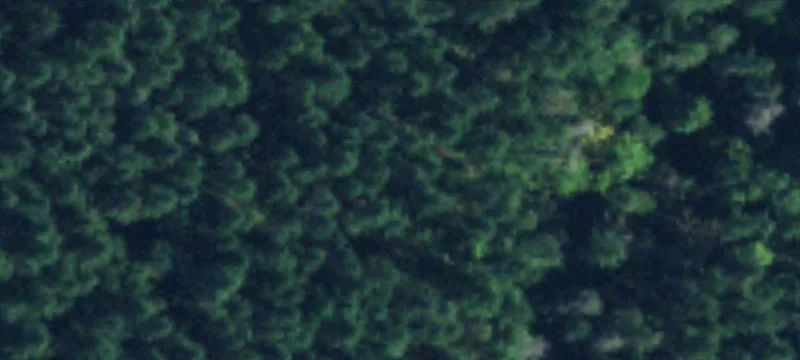Maple Valley, WA 98038