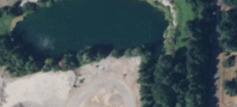 Rochester, WA 98579