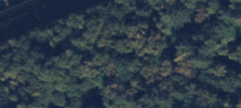 Marblemount, WA 98267