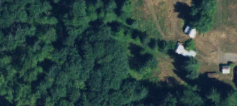 Bellevue, WA 98006