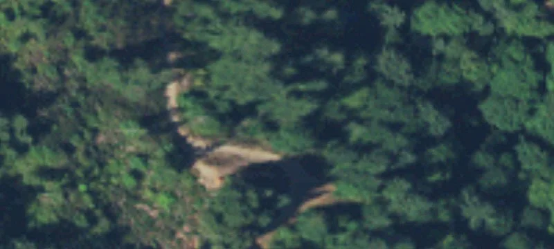 Belfair, WA 98528