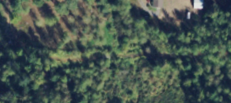 Arlington, WA 98223