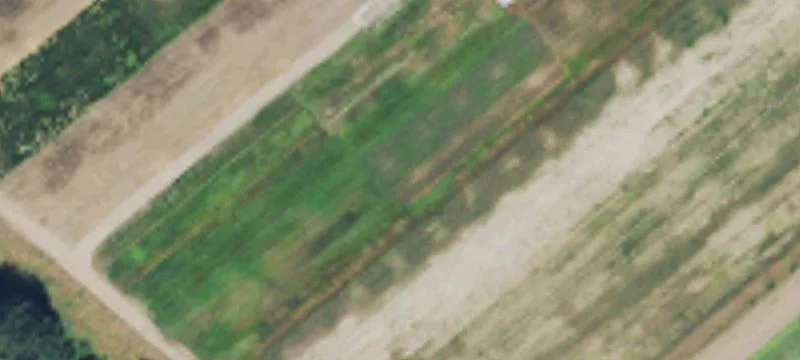 Woodland, WA 98674