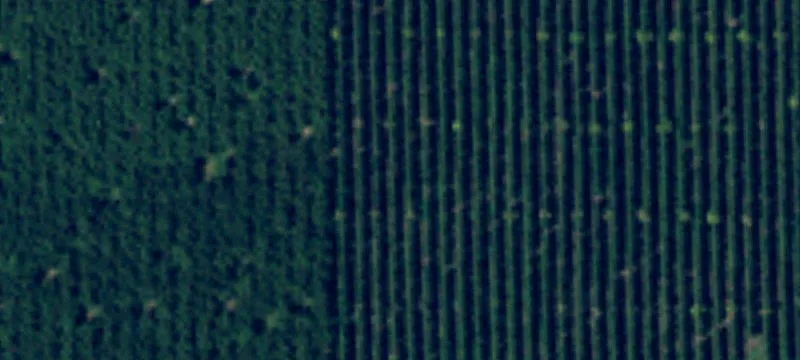Prosser, WA 99350
