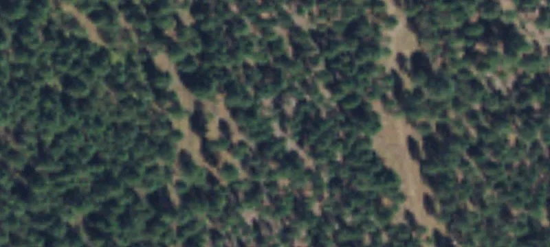 Evans, WA 99126