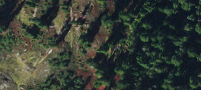Deming, WA 98244