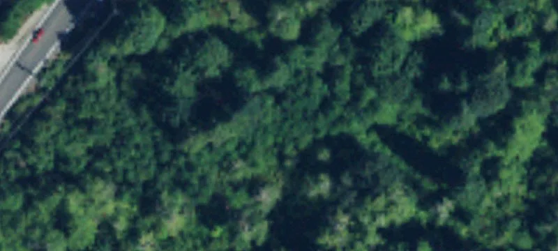 Bellevue, WA 98006