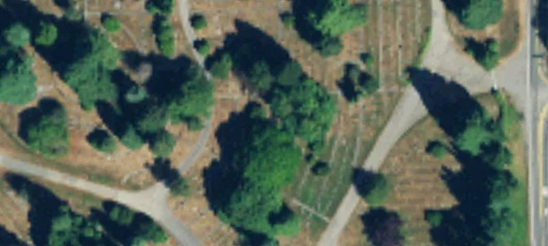 Everett, WA 98203