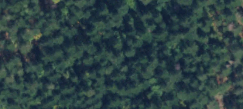 Marblemount, WA 98267