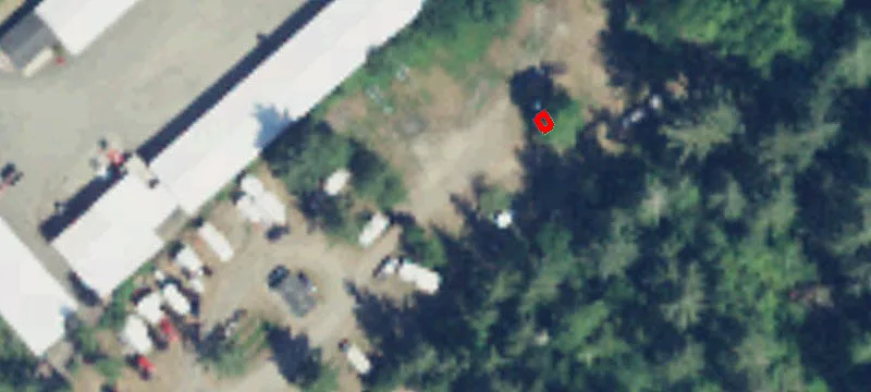 Naselle, WA 98638