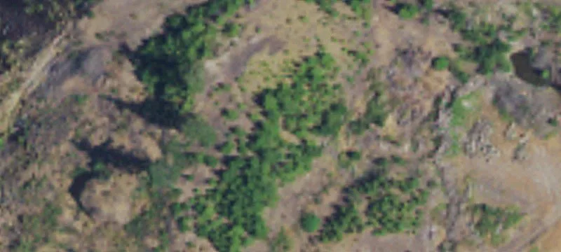Stevenson, WA 98648