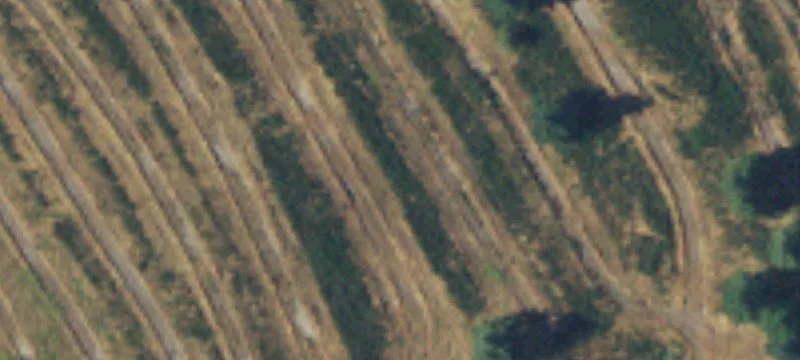 Oakville, WA 98568