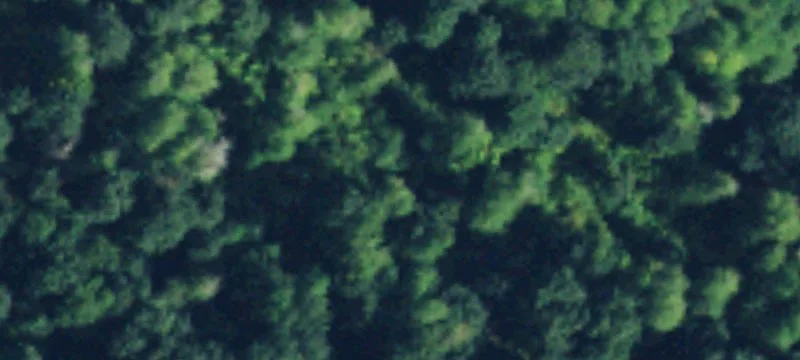 Snohomish, WA 98290