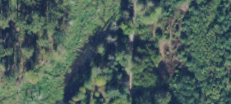 Arlington, WA 98223