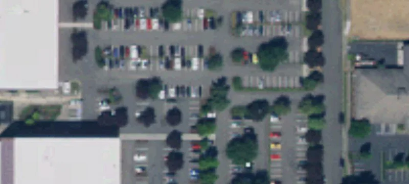 Lacey, WA 98503