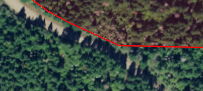 Elma, WA 98541