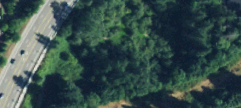 Issaquah, WA 98029
