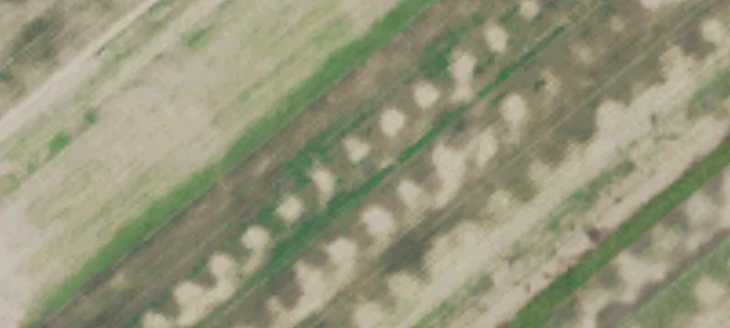 Woodland, WA 98674