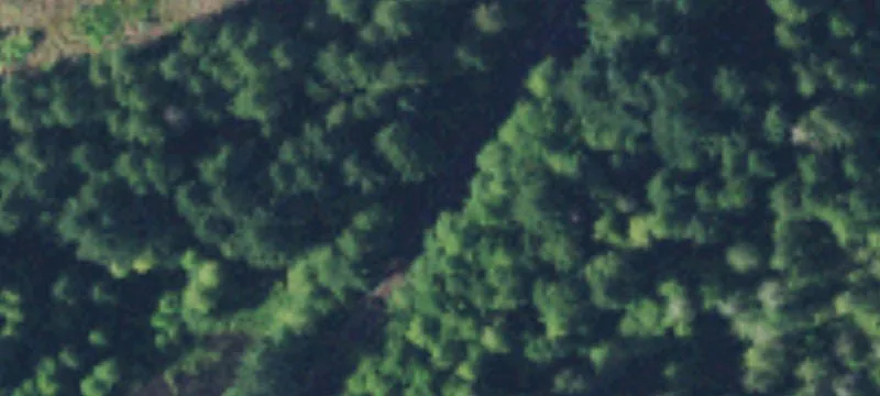 Grapeview, WA 98546