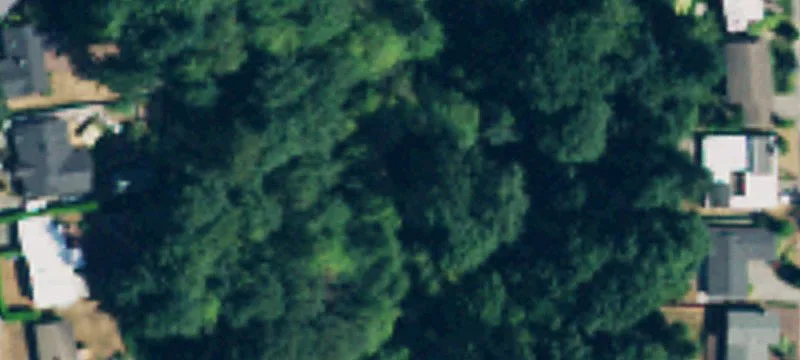 Bellevue, WA 98006