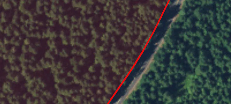 Grapeview, WA 98546