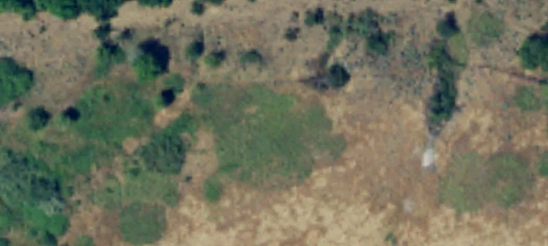 Prosser, WA 99350