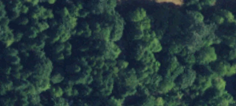 Monroe, WA 98272