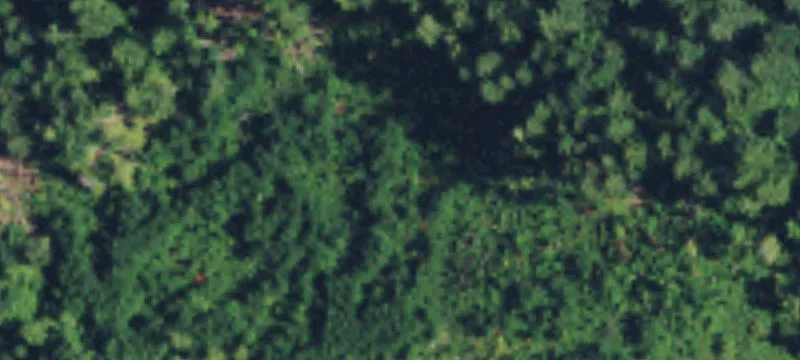 Bingen, WA 98605