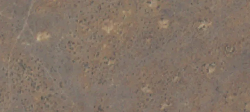 Wilson Creek, WA 98860