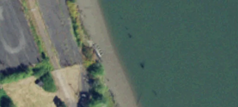 Aberdeen, WA 98520