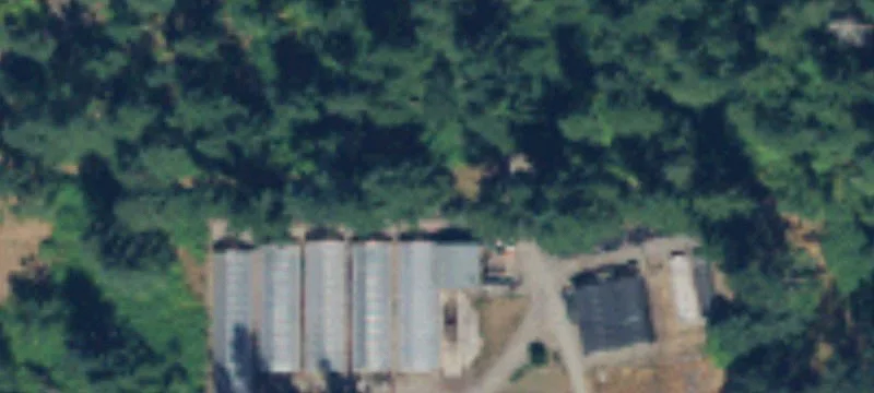 Rainier, WA 98576