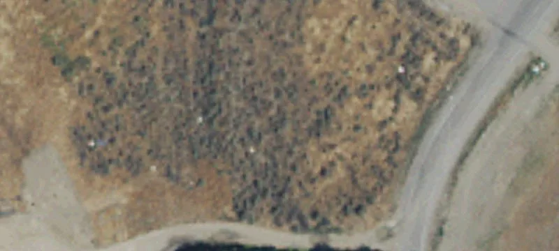 Richland, WA 99354