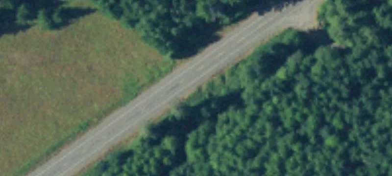 Elma, WA 98541