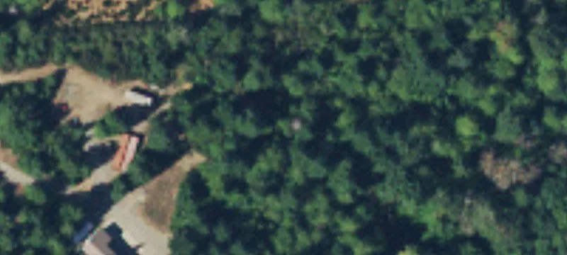 Grapeview, WA 98546