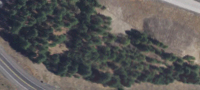 Mead, WA 99021