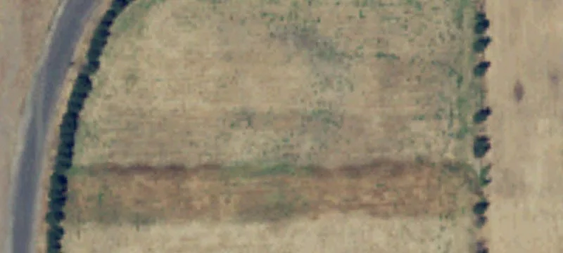Prosser, WA 99350