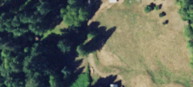 Belfair, WA 98528