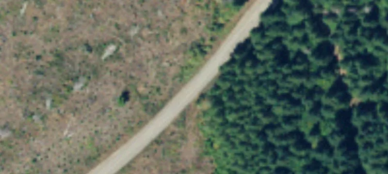 Elma, WA 98541