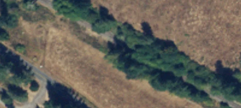 Tenino, WA 98589