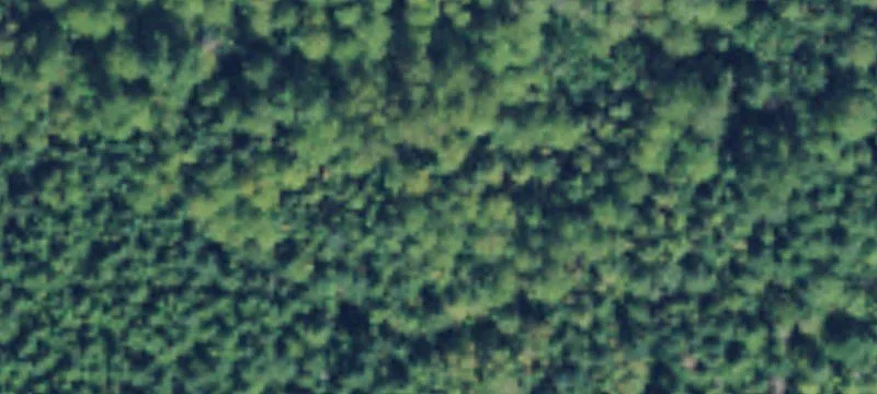 Arlington, WA 98223