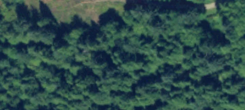 Naselle, WA 98638