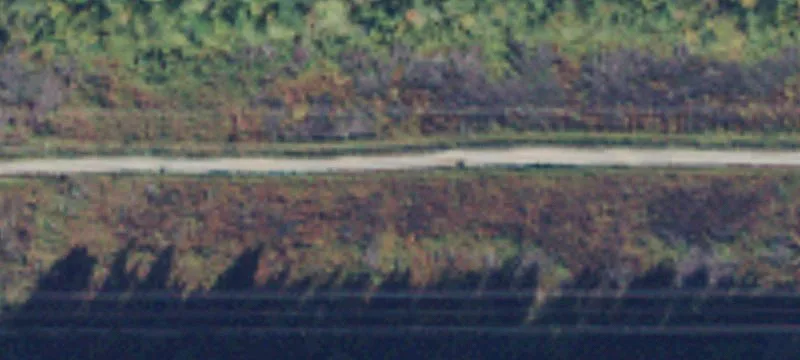 Darrington, WA 98241