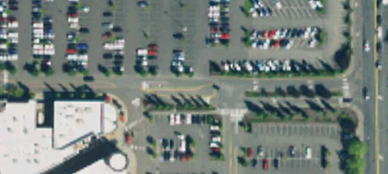 Lynnwood, WA 98037