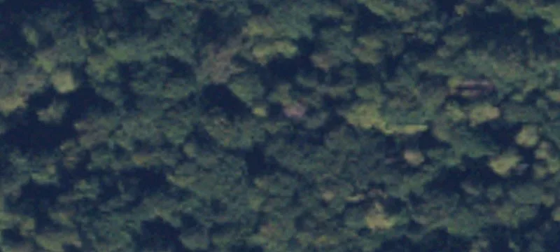 Marblemount, WA 98267