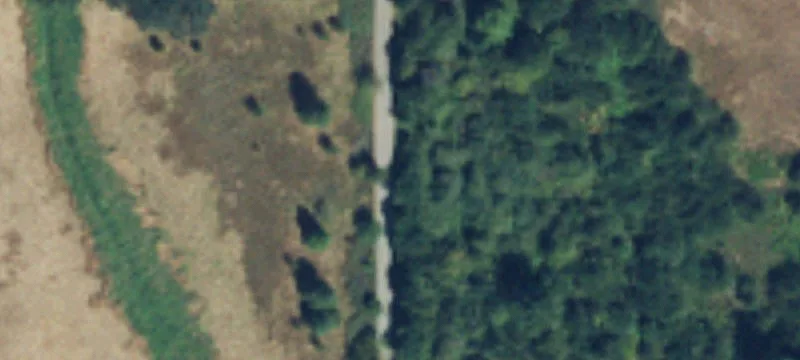 Yelm, WA 98597