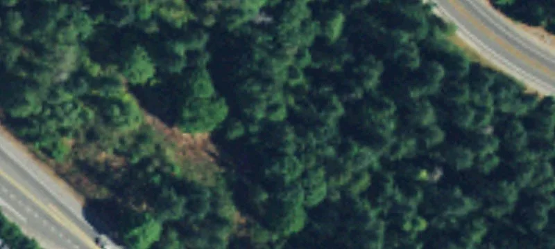 Maple Valley, WA 98038