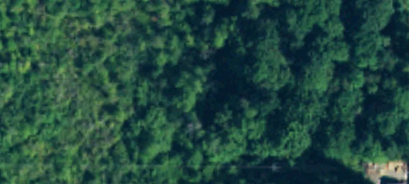 Bellevue, WA 98005
