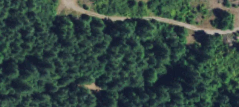 Washougal, WA 98671