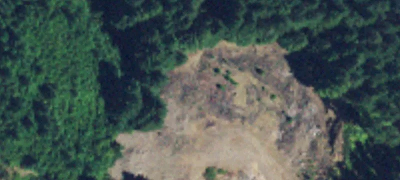 Ariel, WA 98603